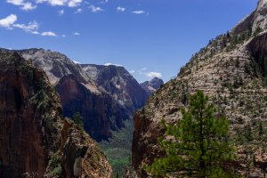 20210428ZionNP_D1087.jpg